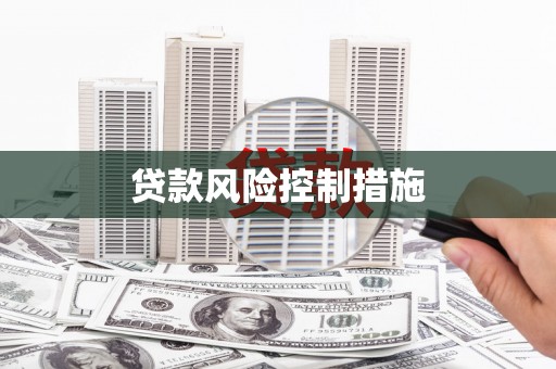 城西贷款风险控制措施