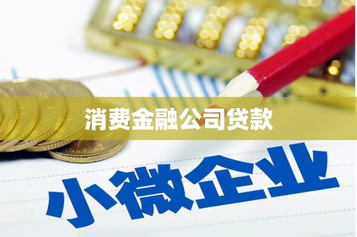 城西消费金融公司贷款