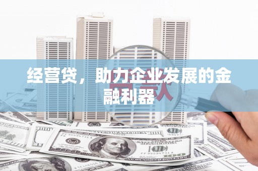 城西经营贷，助力企业发展的金融利器