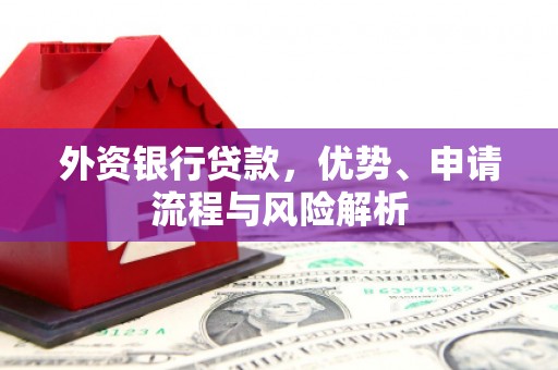 城西外资银行贷款，优势、申请流程与风险解析