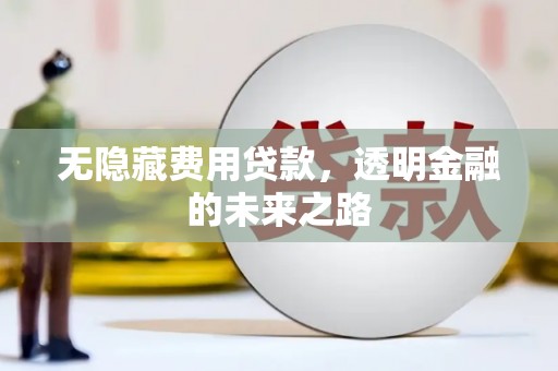 城西无隐藏费用贷款，透明金融的未来之路