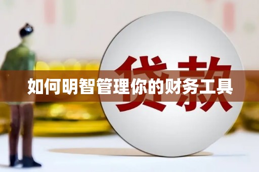 城西如何明智管理你的财务工具