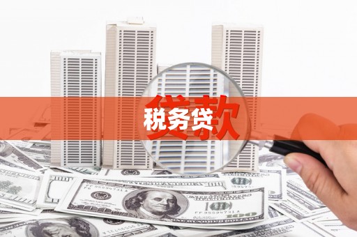 城西税务贷