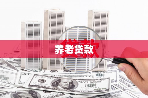 城西养老贷款