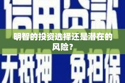 城西明智的投资选择还是潜在的风险？