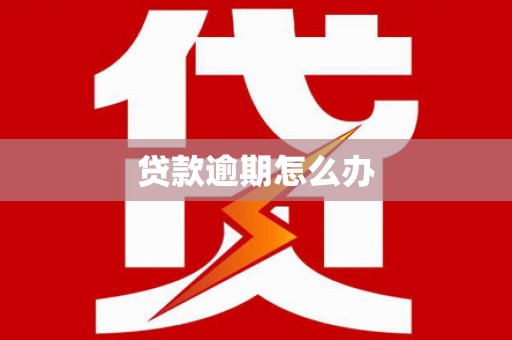 城西贷款逾期怎么办