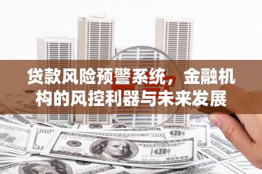 城西贷款风险预警系统，金融机构的风控利器与未来发展
