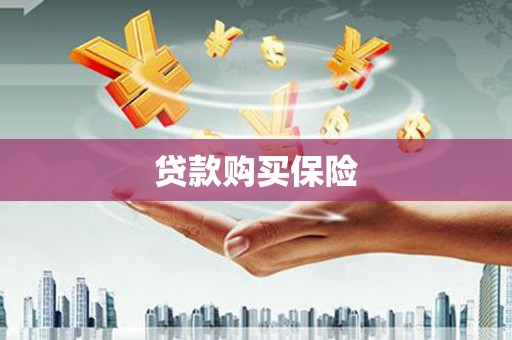 城西贷款购买保险