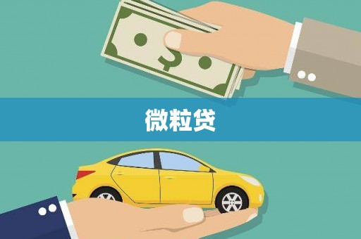 城西微粒贷