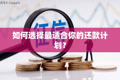 城西如何选择最适合你的还款计划？