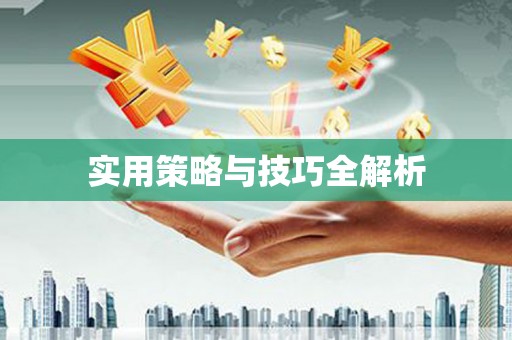城西实用策略与技巧全解析