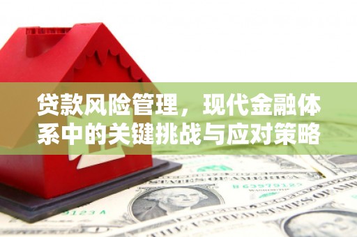 城西贷款风险管理，现代金融体系中的关键挑战与应对策略