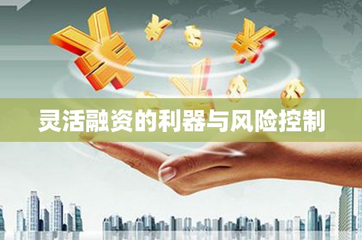 城西灵活融资的利器与风险控制