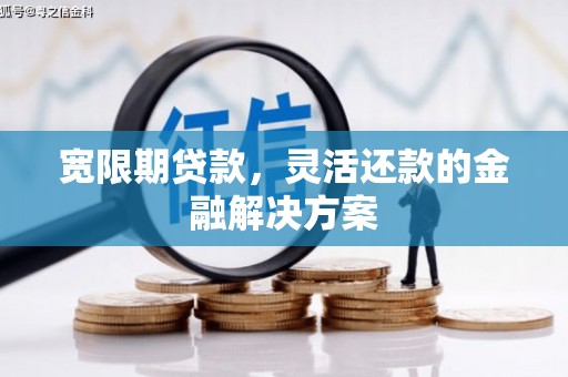 城西宽限期贷款，灵活还款的金融解决方案