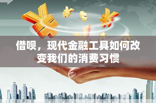 城西借呗，现代金融工具如何改变我们的消费习惯