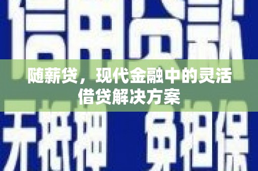 城西随薪贷，现代金融中的灵活借贷解决方案
