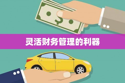 城西灵活财务管理的利器