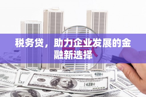 城西税务贷，助力企业发展的金融新选择