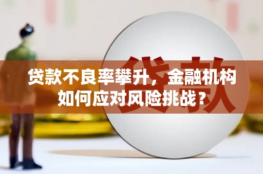 城西贷款不良率攀升，金融机构如何应对风险挑战？