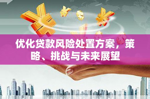 城西优化贷款风险处置方案，策略、挑战与未来展望
