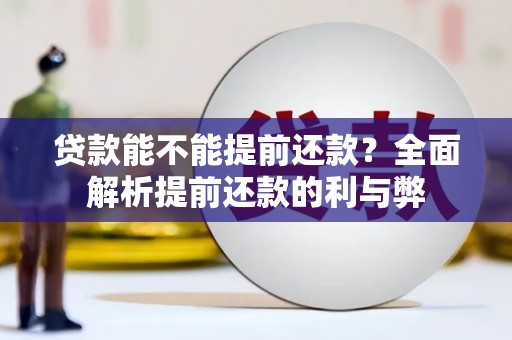 城西贷款能不能提前还款？全面解析提前还款的利与弊