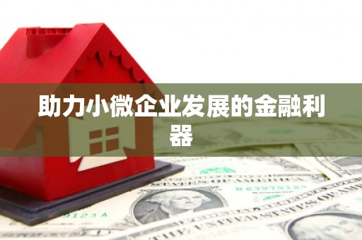 城西助力小微企业发展的金融利器