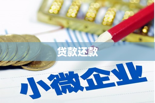 城西贷款还款