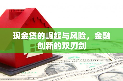 城西现金贷的崛起与风险，金融创新的双刃剑
