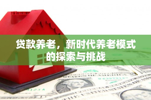 城西贷款养老，新时代养老模式的探索与挑战