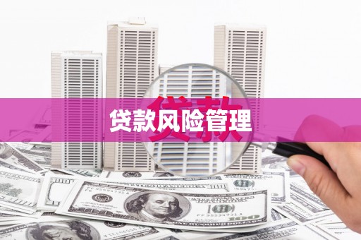 城西贷款风险管理