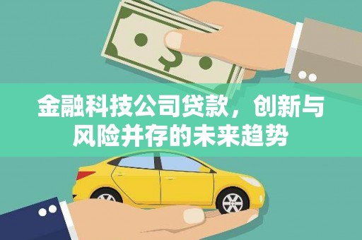 城西金融科技公司贷款，创新与风险并存的未来趋势