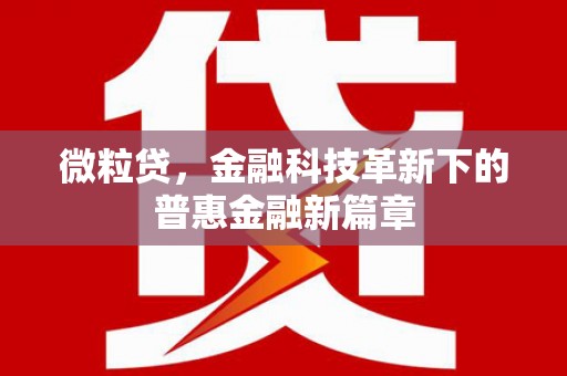 城西微粒贷，金融科技革新下的普惠金融新篇章