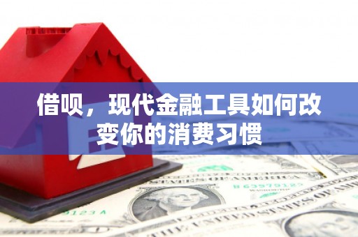 城西借呗，现代金融工具如何改变你的消费习惯