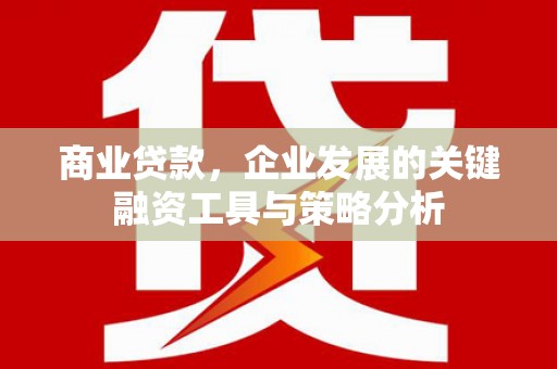 城西商业贷款，企业发展的关键融资工具与策略分析