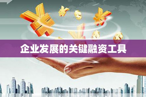 城西企业发展的关键融资工具