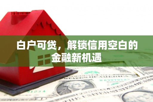 城西白户可贷，解锁信用空白的金融新机遇