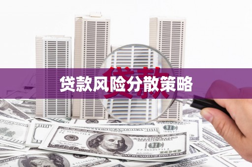 城西贷款风险分散策略