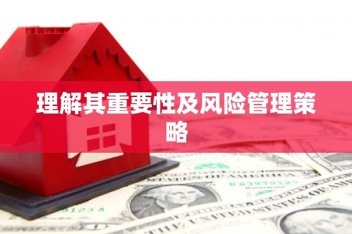 城西理解其重要性及风险管理策略