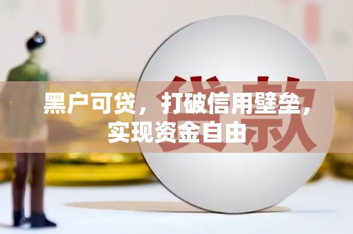 城西黑户可贷，打破信用壁垒，实现资金自由