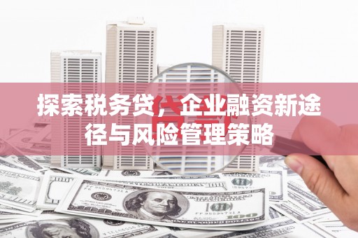 城西探索税务贷，企业融资新途径与风险管理策略