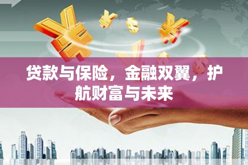 城西贷款与保险，金融双翼，护航财富与未来