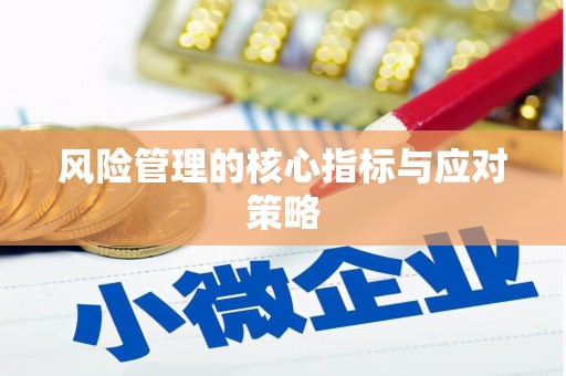 城西风险管理的核心指标与应对策略