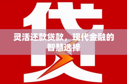 城西灵活还款贷款，现代金融的智慧选择