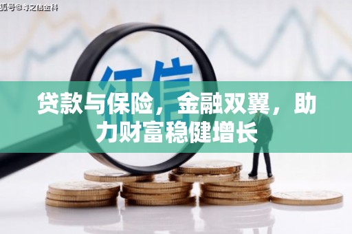 城西贷款与保险，金融双翼，助力财富稳健增长