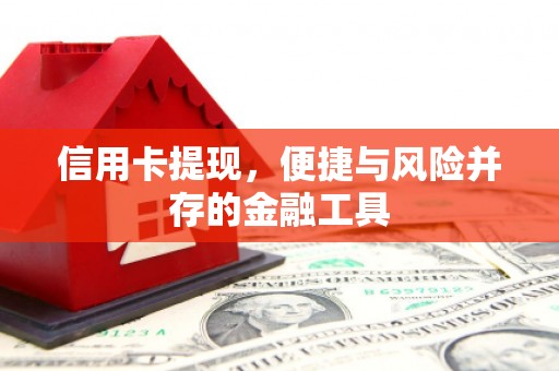 城西信用卡提现，便捷与风险并存的金融工具