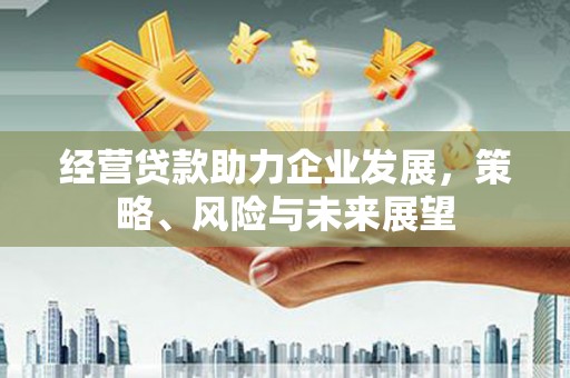 城西经营贷款助力企业发展，策略、风险与未来展望