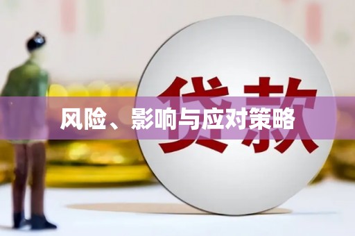 城西风险、影响与应对策略