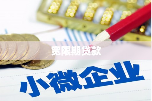 城西宽限期贷款