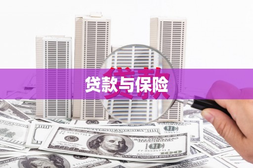 城西贷款与保险