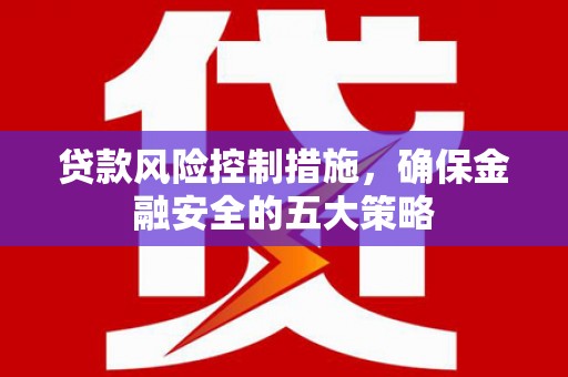 城西贷款风险控制措施，确保金融安全的五大策略